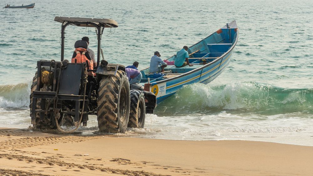 Photograph by Наталья Кокорина