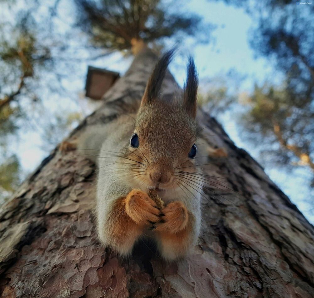 Photograph by Назифе Идилли Озкол