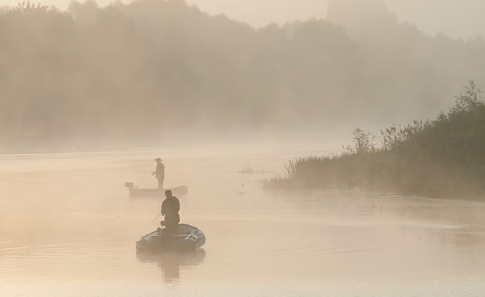 Photograph by Александр Шатохин