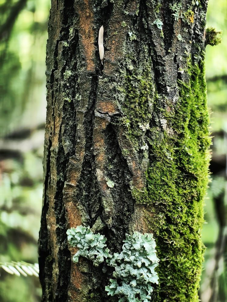 Photograph by Анна Семейникова