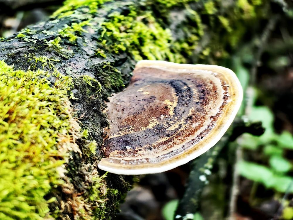 Photograph by Анна Семейникова