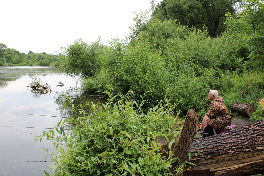 Photograph by Елена Коробченко