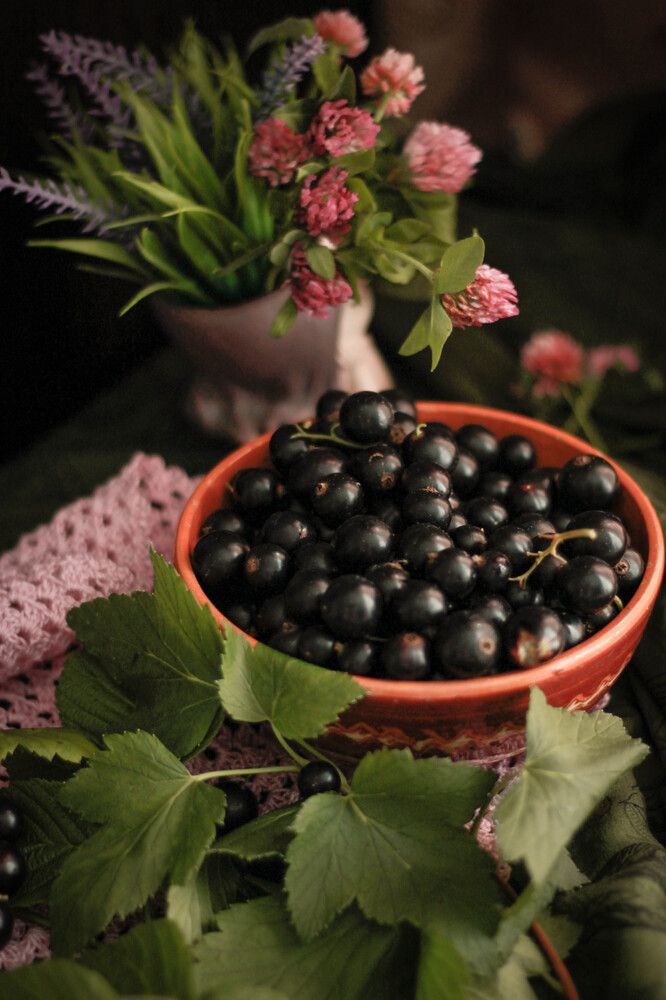 Photograph by Любовь Иванова