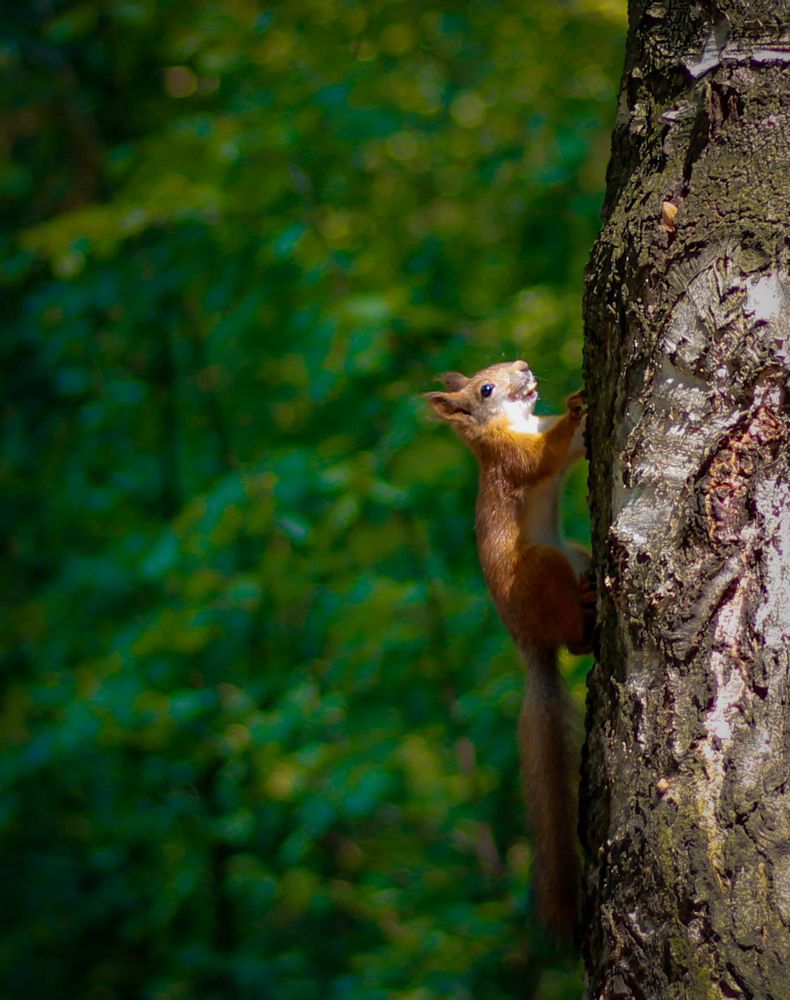 Photograph by Любовь Иванова
