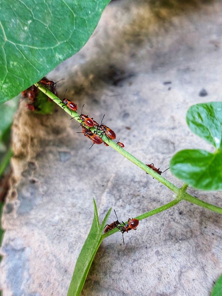 Photograph by Нина Паршина