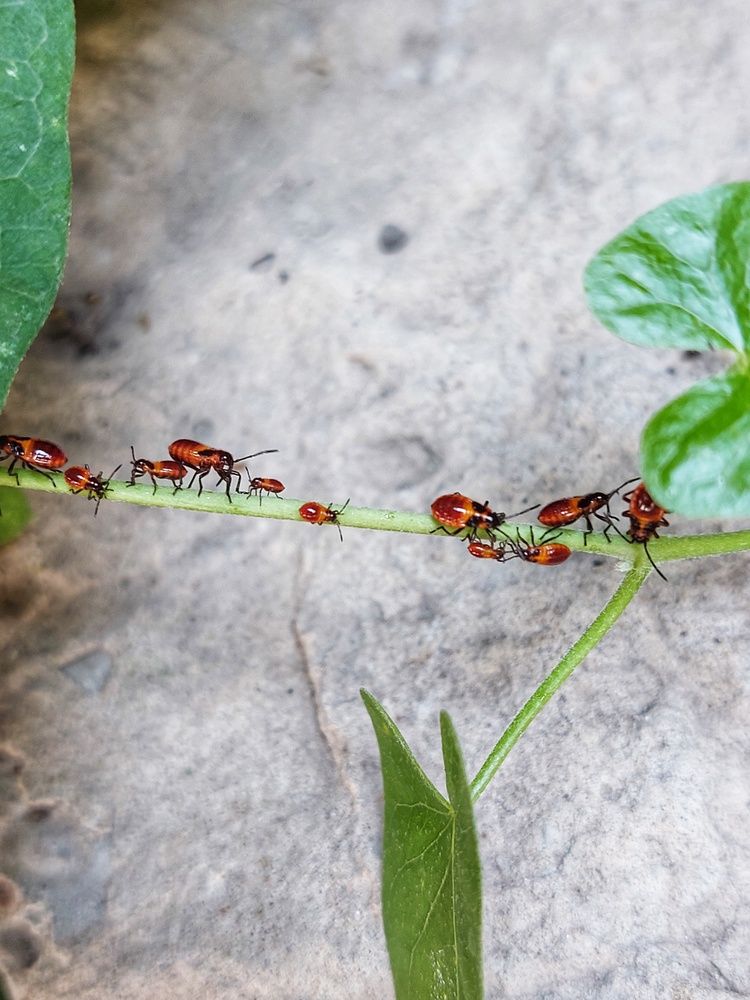 Photograph by Нина Паршина