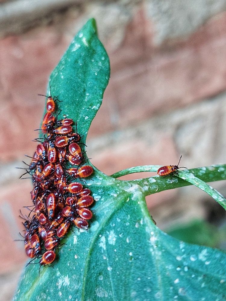 Photograph by Нина Паршина