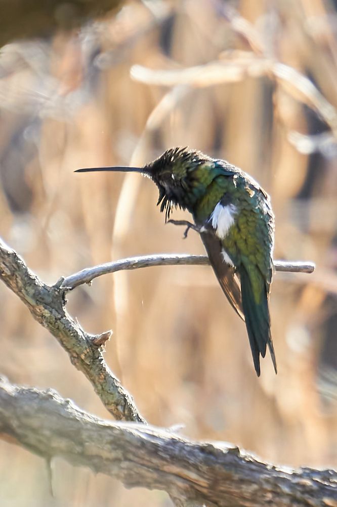 Photograph by María Laura Giorda