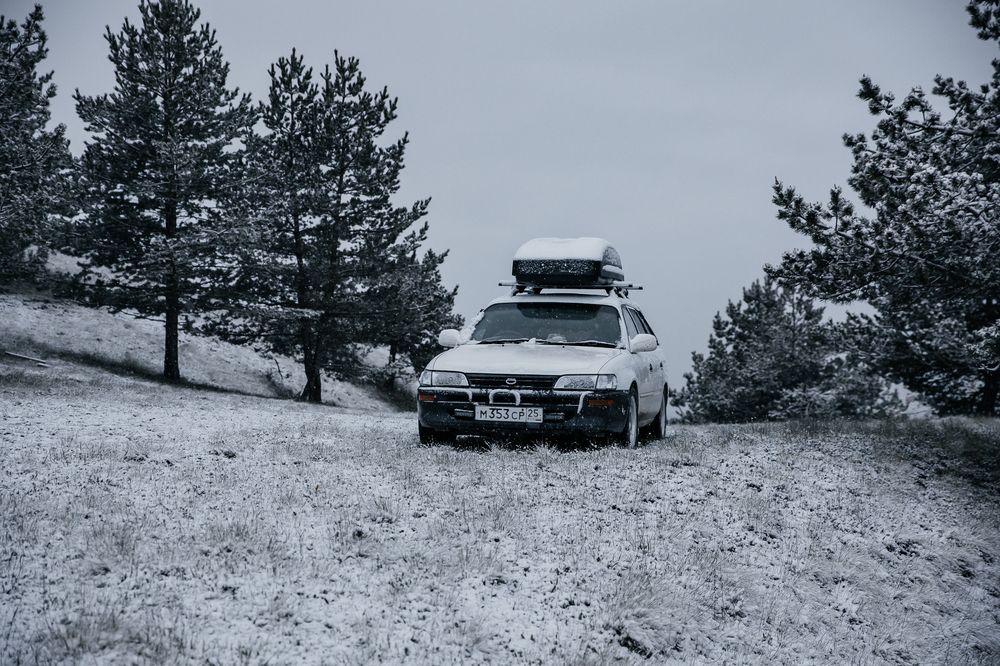 Photograph by Мария Раздорова