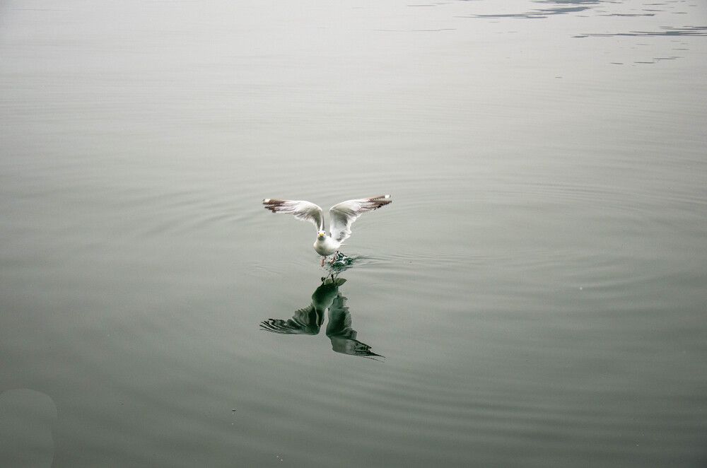 Photograph by Николай Морозов