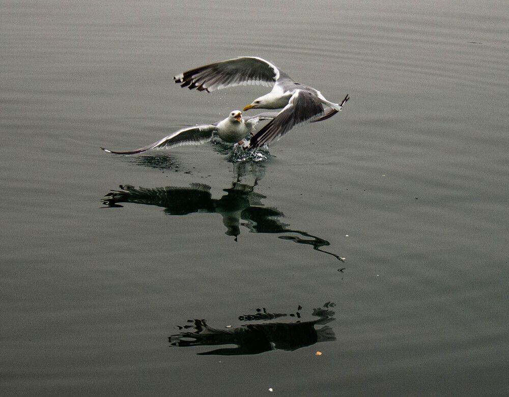 Photograph by Николай Морозов