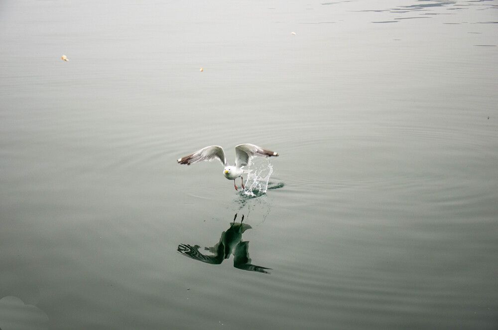 Photograph by Николай Морозов