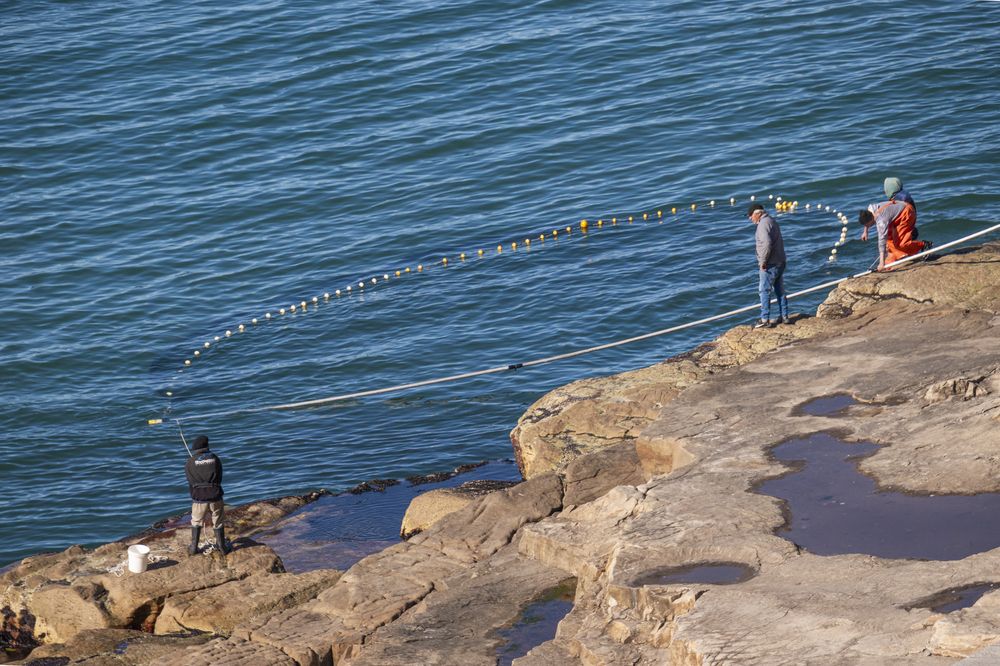 Photograph by Susie Castellano