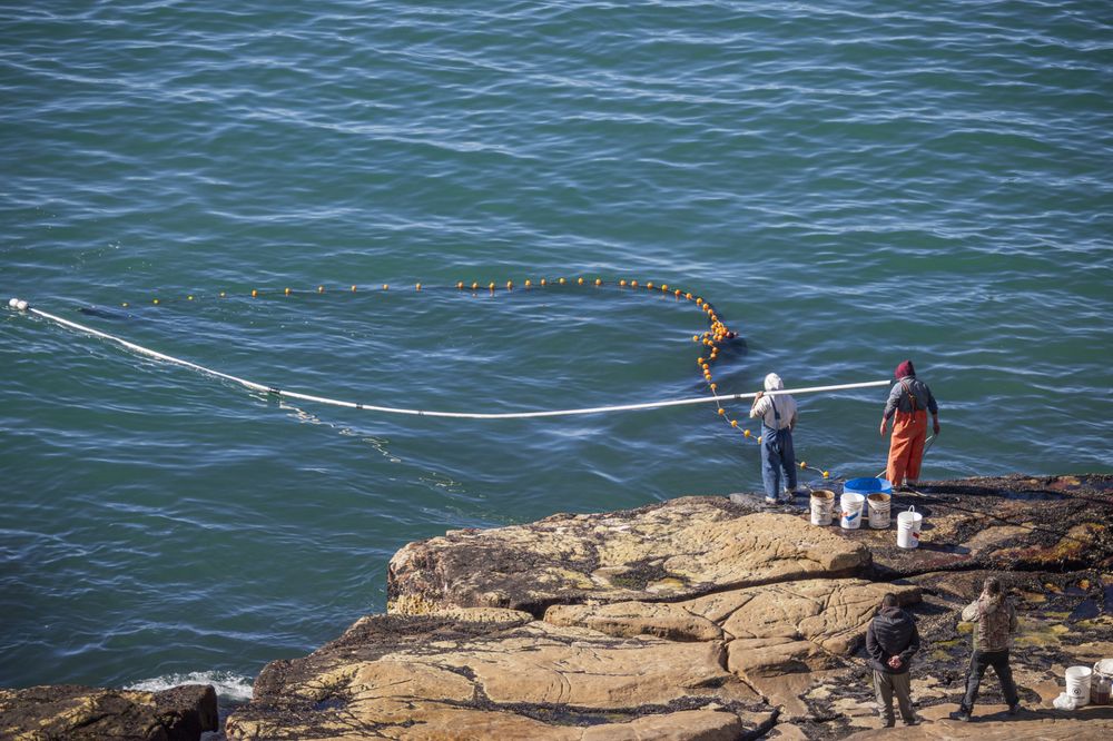 Photograph by Susie Castellano