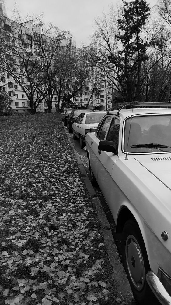 Photograph by Ekaterina Kozlova