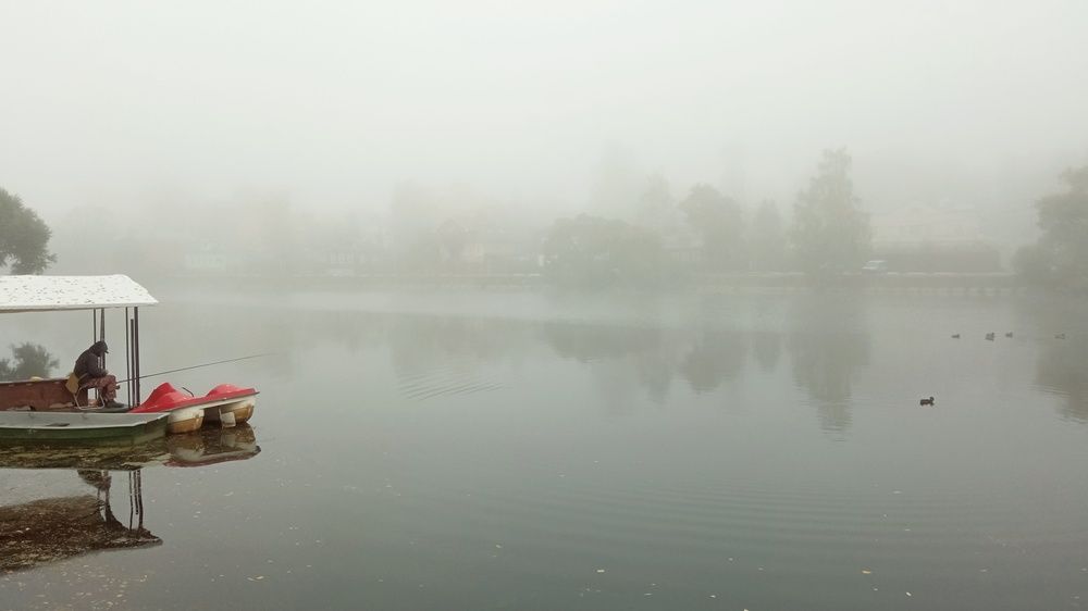 Photograph by Юлия Ромашина