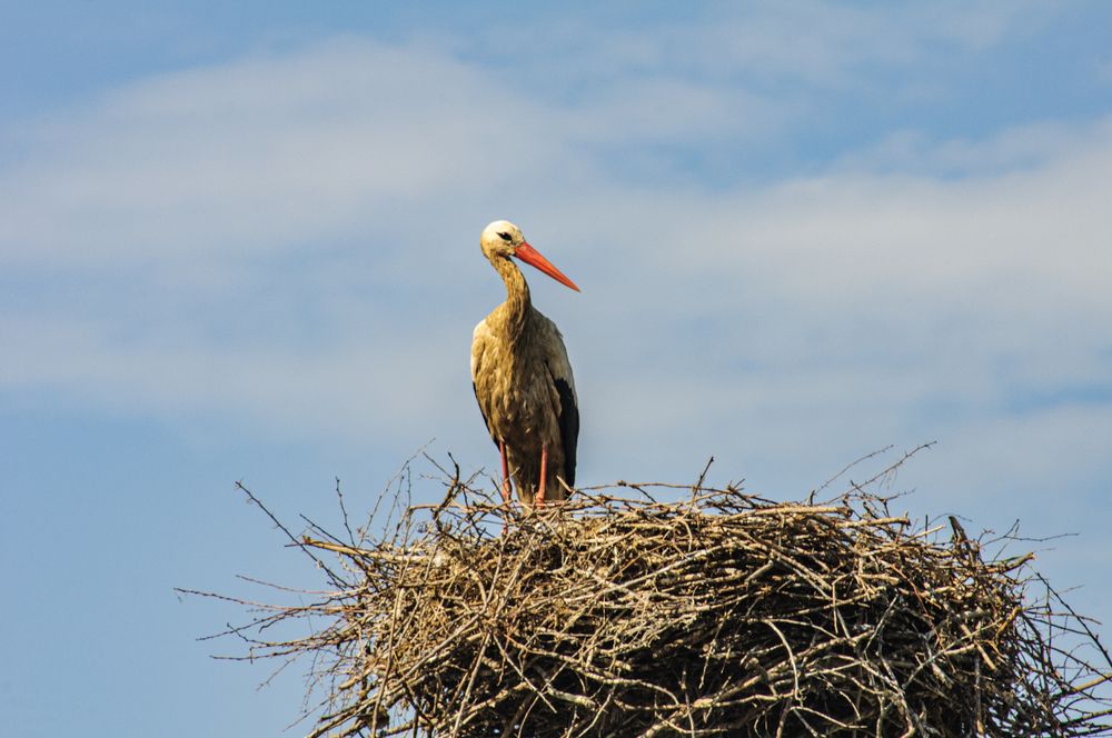 Photograph by YURIY TSARENKO