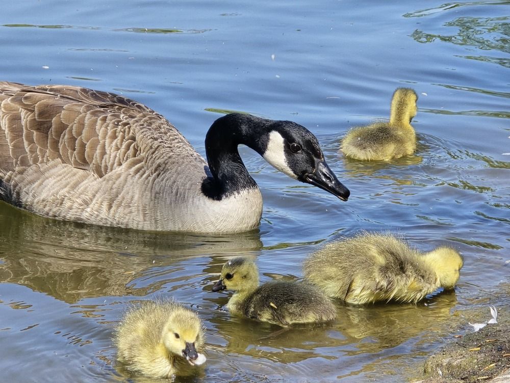 Photograph by Ekaterina Kozlova