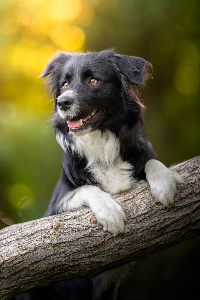 Photograph by ALESSIA ROSSI