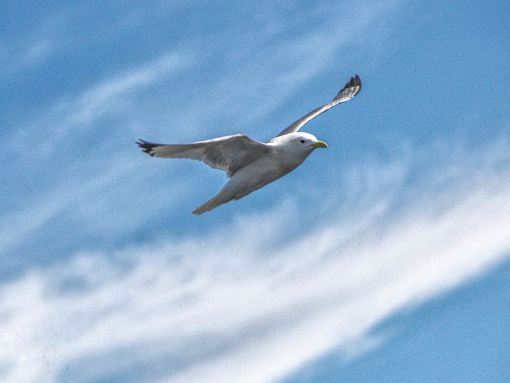 Фотография автора Ольга Маклакова