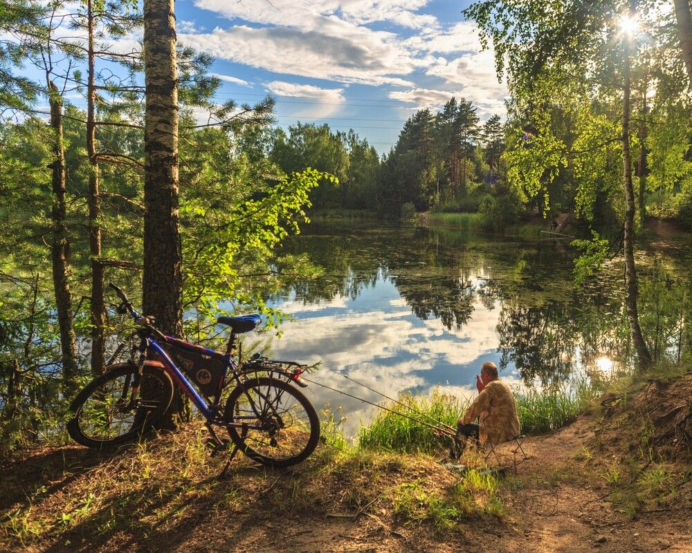 Photograph by Литвинов Александр