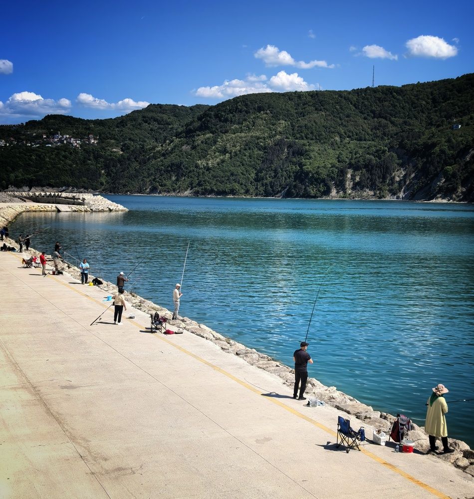 Photograph by Кривенко Владимир