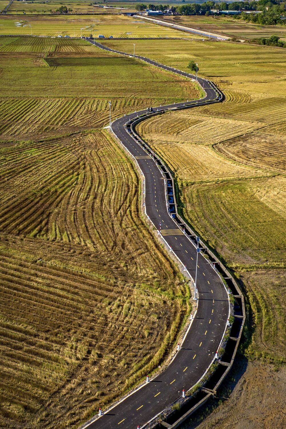 CON ĐƯỜNG NÔNG THÔN