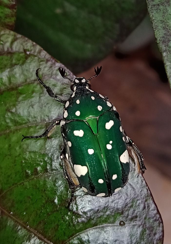 Photograph by Yasha Akhtar