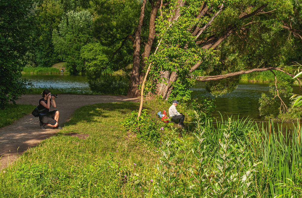 Photograph by Vladimir  Komarov