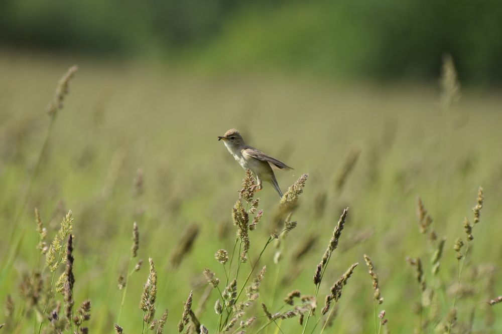 К взлёту готов!