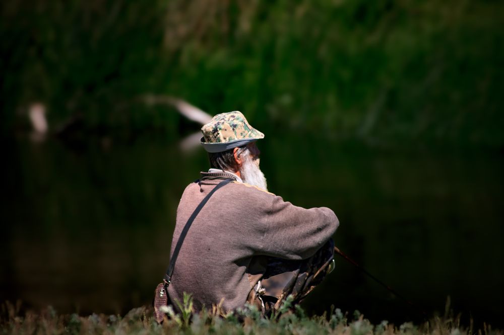 Photograph by Алина Орлова