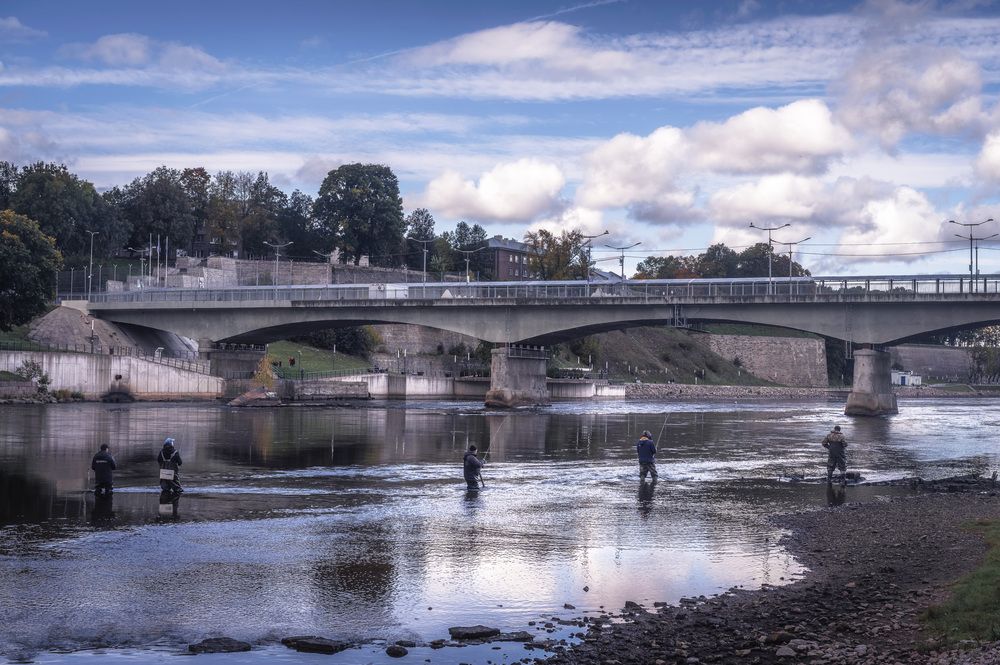 Фотография автора Васильев Андрей