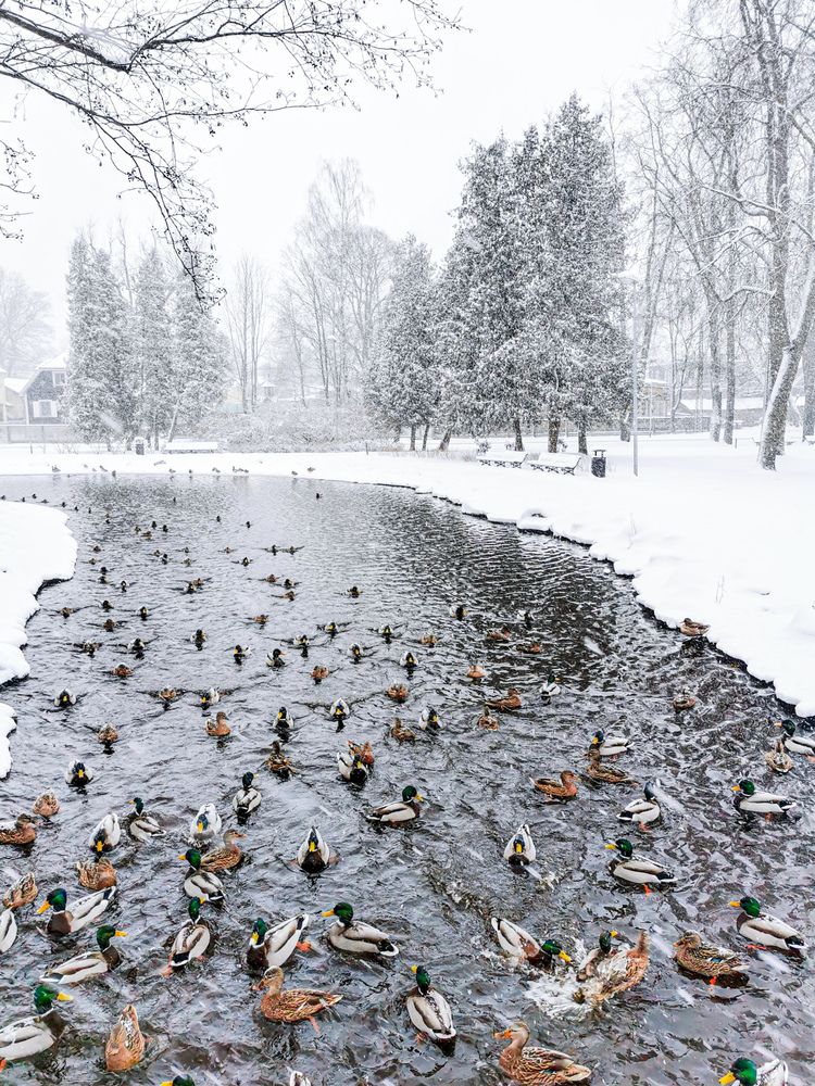 Photograph by Raitis Miksons