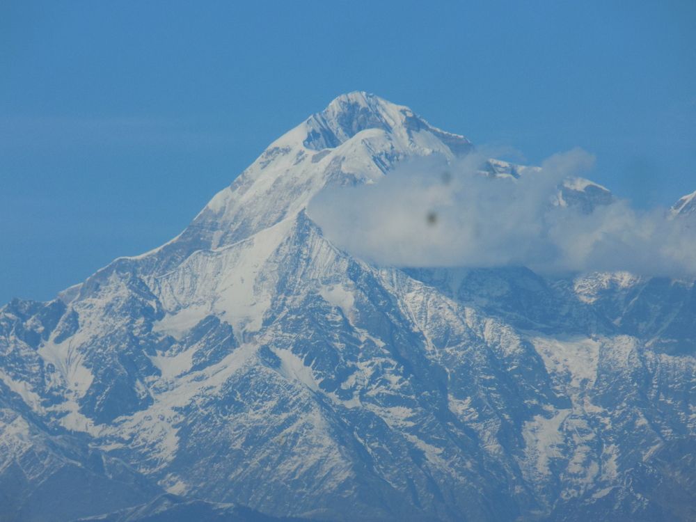 Photo #12375893