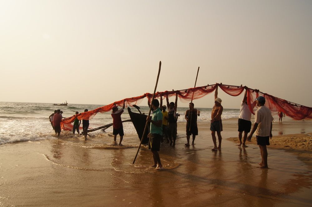 Photograph by Светлана Стрельцова