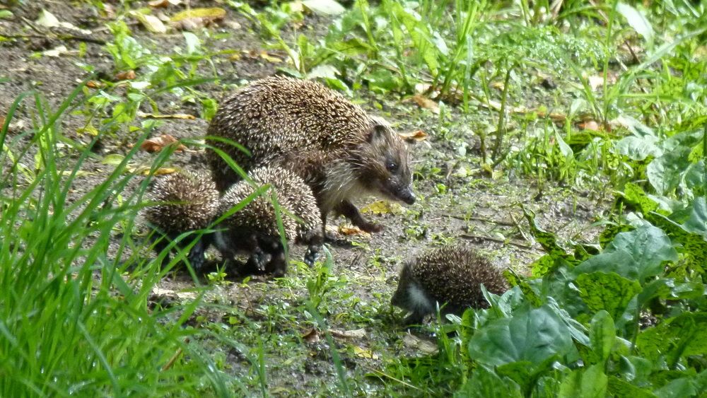 Photograph by Егор Чинарев