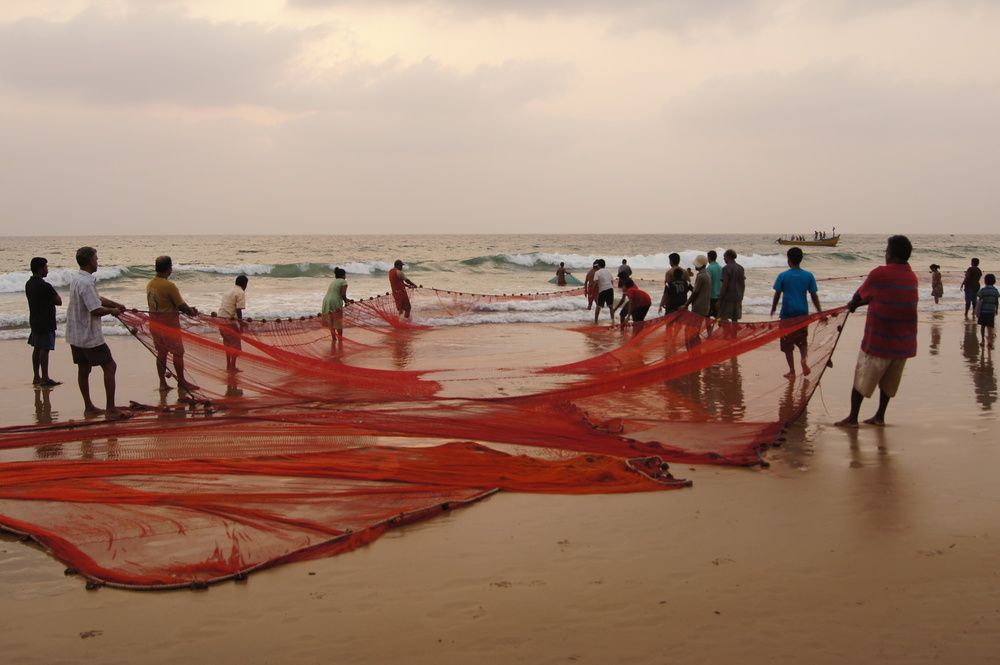 Photograph by Светлана Стрельцова