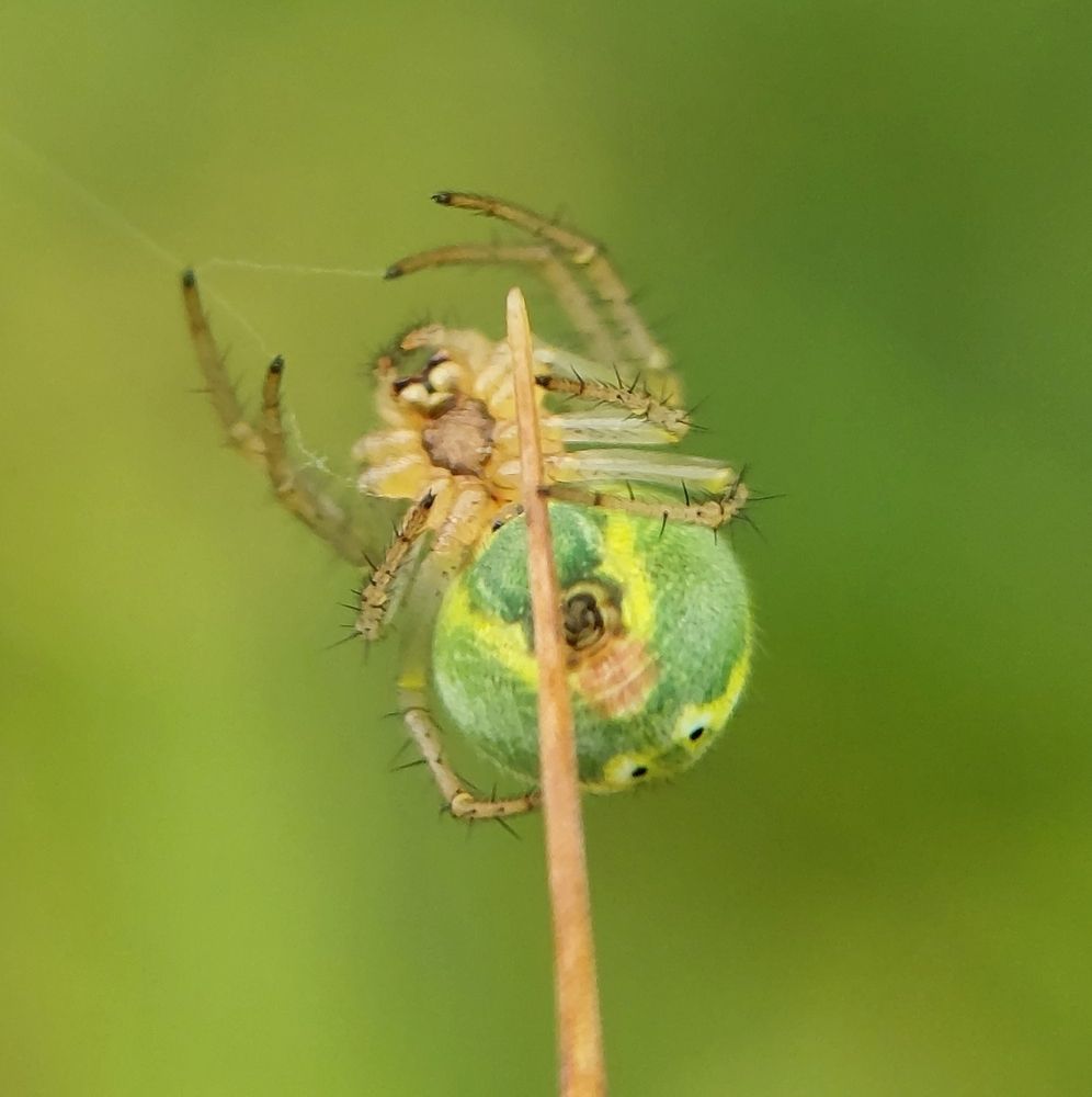 Photograph by Данила Черезов
