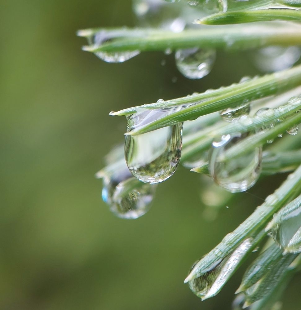 Photograph by Данила Черезов