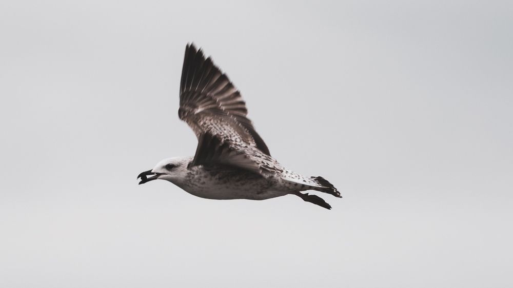 Photograph by Marko Župan