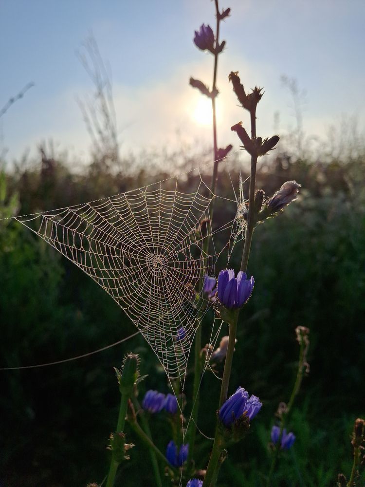 Photograph by Марина Мальцева