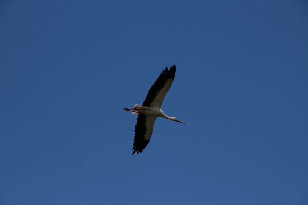 Photograph by Cengiz Yalcin