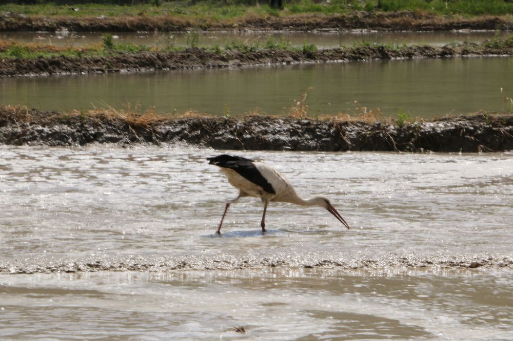 Photograph by Cengiz Yalcin