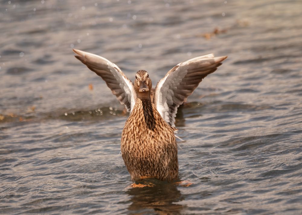 Photograph by Тамара Вотинцева