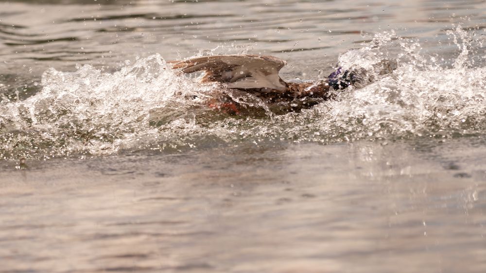 Photograph by Тамара Вотинцева