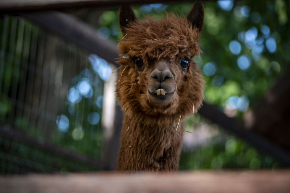 Photograph by Крупченко Роман