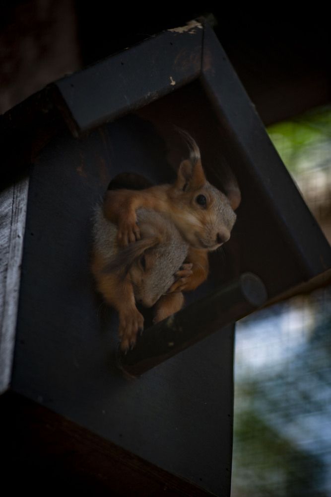 Photograph by Крупченко Роман