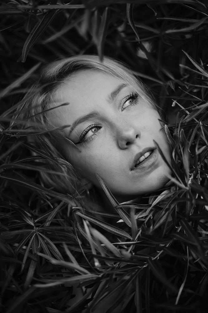 Photograph by Артем Артемьев