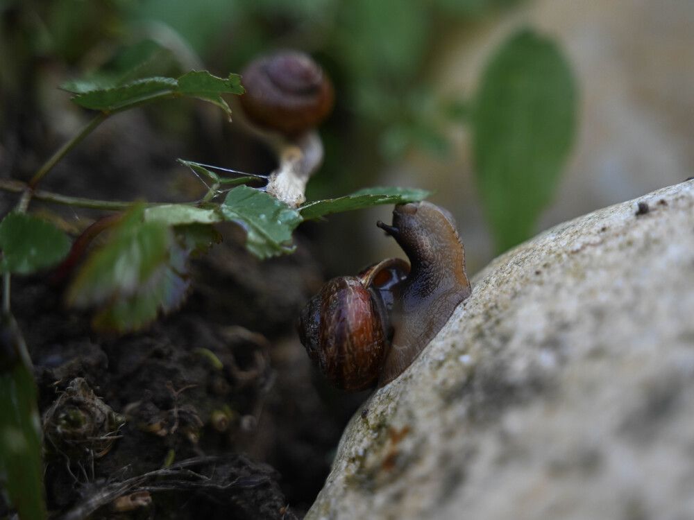 Photograph by Светлана Гаврикова