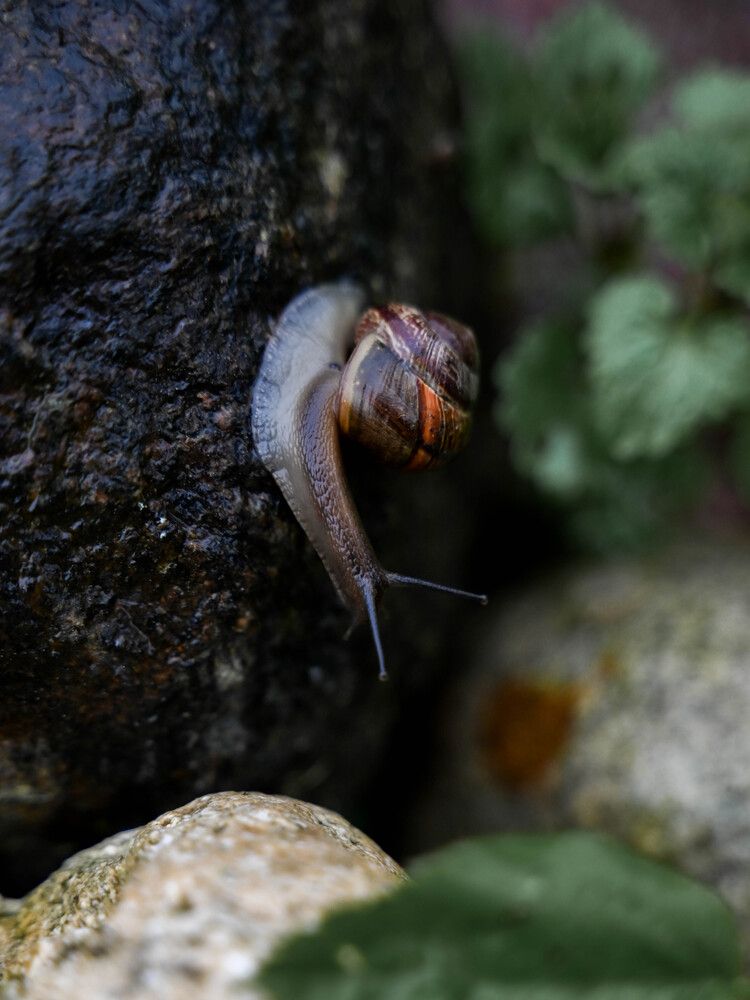 Photograph by Светлана Гаврикова